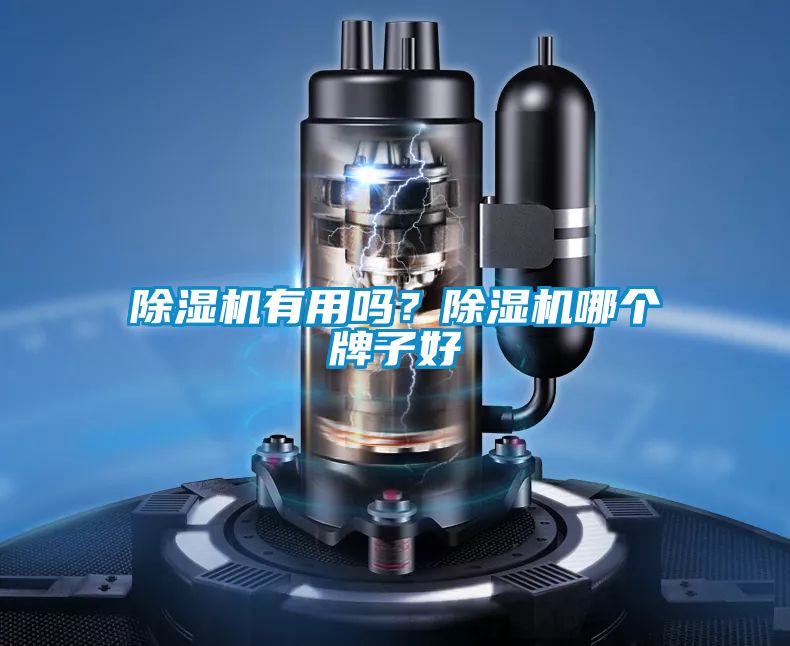 除濕機有用嗎？除濕機哪個牌子好