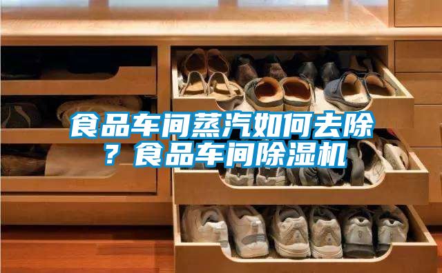 食品車間蒸汽如何去除？食品車間除濕機