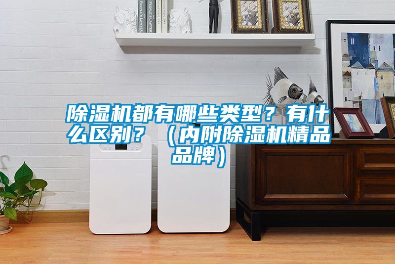 除濕機都有哪些類型？有什么區別？（內附除濕機精品品牌）