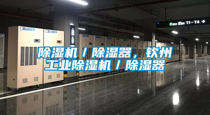 除濕機／除濕器，欽州工業除濕機／除濕器