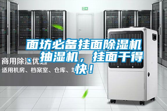 面坊必備掛面除濕機、抽濕機，掛面干得快！