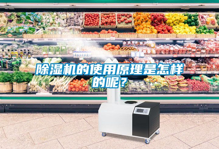 除濕機的使用原理是怎樣的呢？