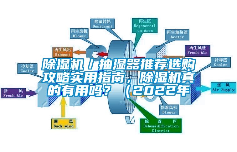 除濕機／抽濕器推薦選購攻略實用指南，除濕機真的有用嗎？（2022年