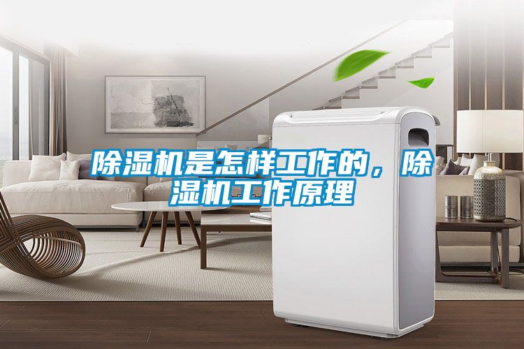 除濕機是怎樣工作的，除濕機工作原理