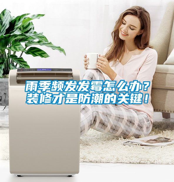 雨季頻發發霉怎么辦？裝修才是防潮的關鍵！