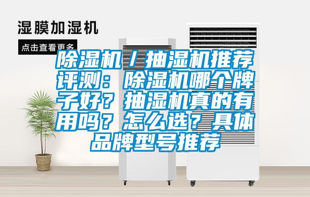 除濕機／抽濕機推薦評測：除濕機哪個牌子好？抽濕機真的有用嗎？怎么選？具體品牌型號推薦