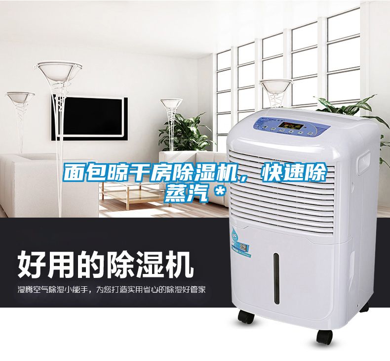 面包晾干房除濕機，快速除蒸汽＊