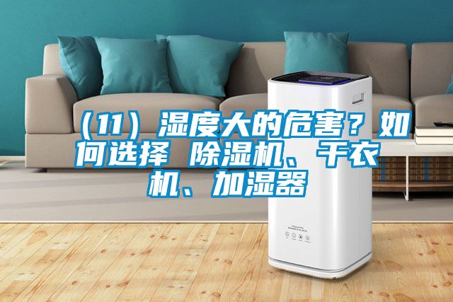 （11）濕度大的危害？如何選擇 除濕機、干衣機、加濕器