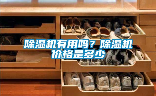 除濕機有用嗎？除濕機價格是多少