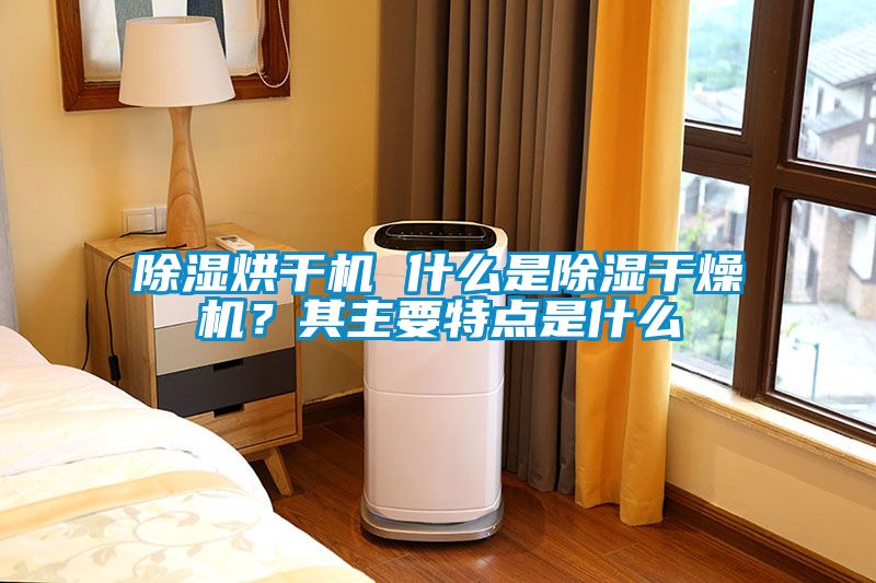 除濕烘干機 什么是除濕干燥機？其主要特點是什么