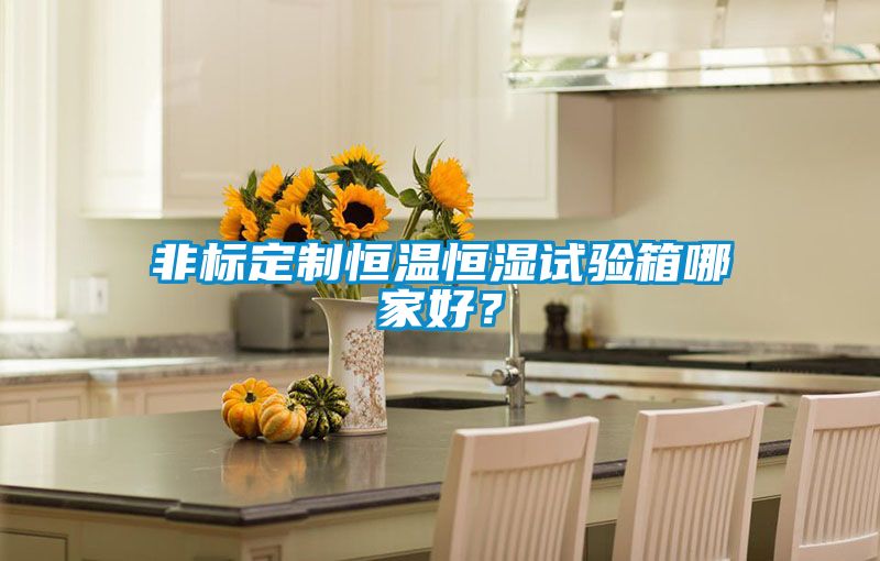 非標定制恒溫恒濕試驗箱哪家好？