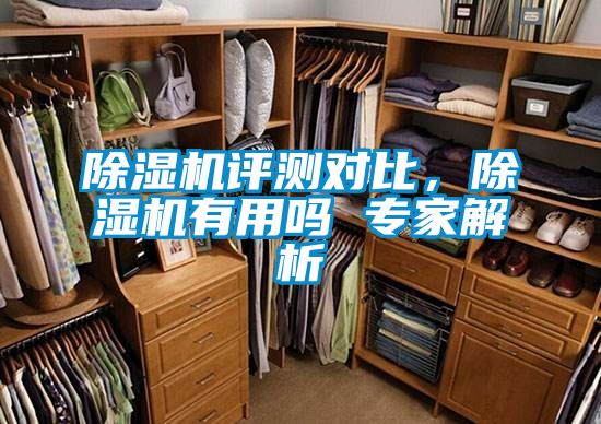 除濕機評測對比，除濕機有用嗎 專家解析