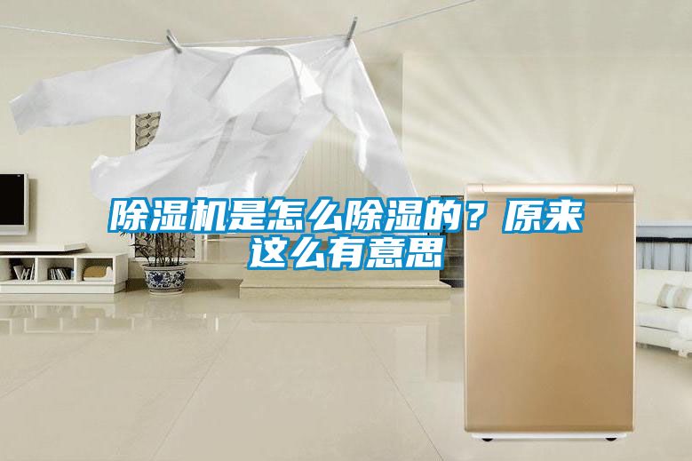 除濕機是怎么除濕的？原來這么有意思