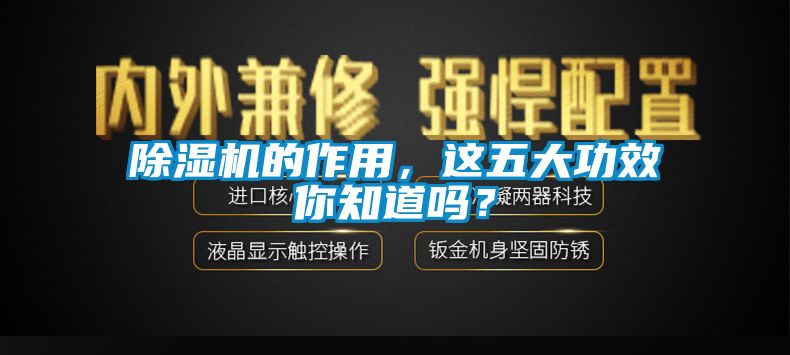 除濕機的作用，這五大功效你知道嗎？
