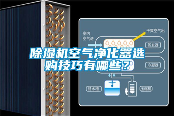 除濕機空氣凈化器選購技巧有哪些？