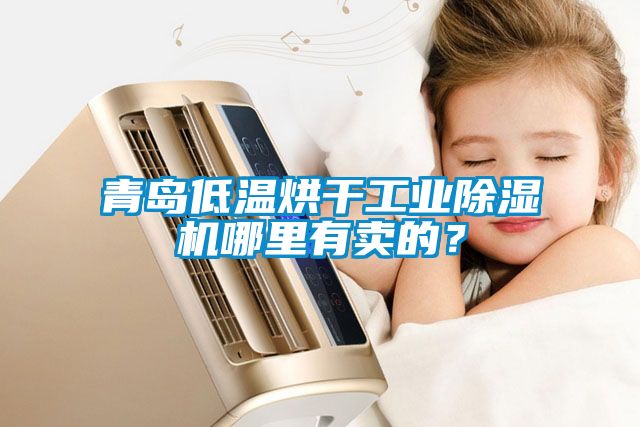 青島低溫烘干工業除濕機哪里有賣的？