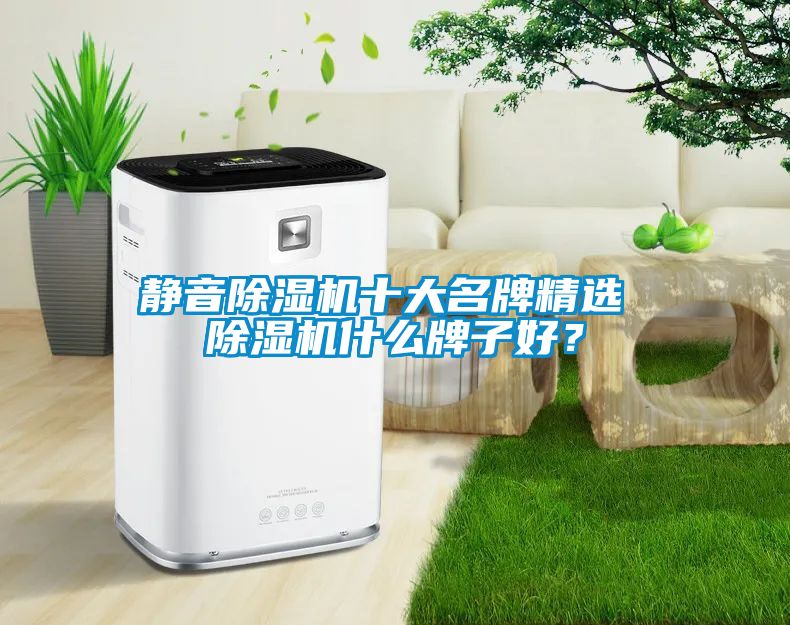 靜音除濕機十大名牌精選 除濕機什么牌子好？