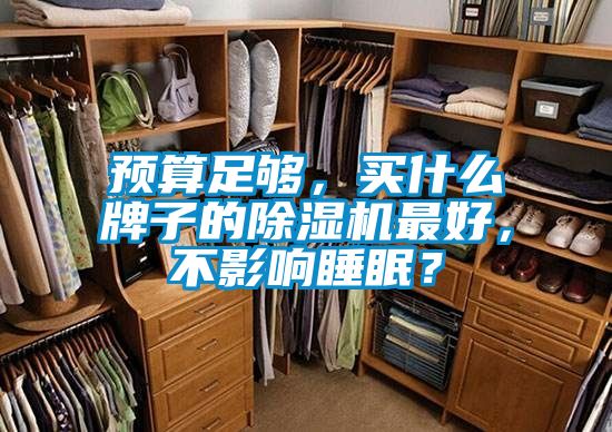 預算足夠，買什么牌子的除濕機最好，不影響睡眠？