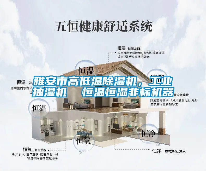 雅安市高低溫除濕機，工業抽濕機  恒溫恒濕非標機器