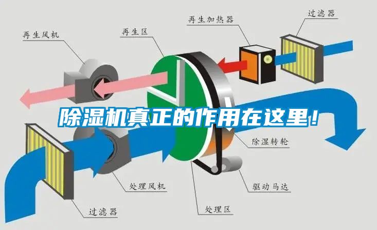 除濕機真正的作用在這里！