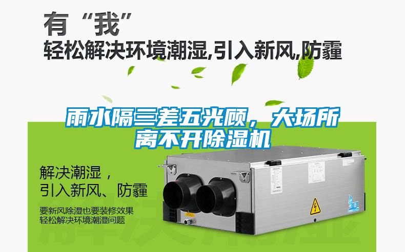 雨水隔三差五光顧，大場所離不開除濕機