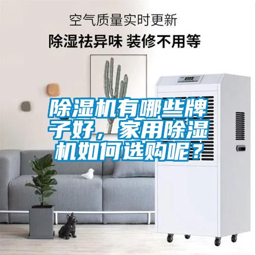 除濕機有哪些牌子好，家用除濕機如何選購呢？