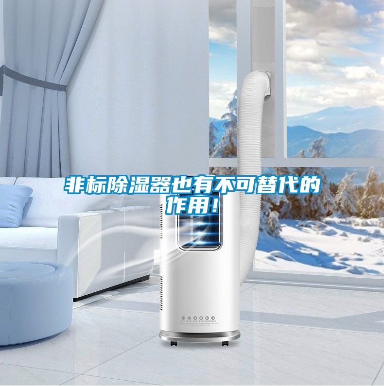 非標除濕器也有不可替代的作用！