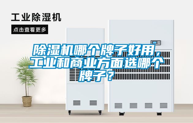 除濕機哪個牌子好用，工業和商業方面選哪個牌子？