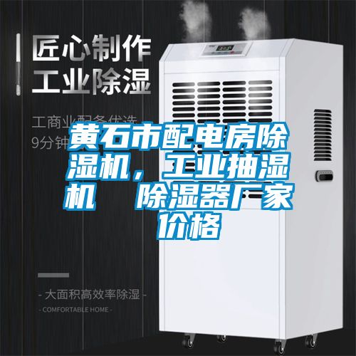 黃石市配電房除濕機，工業抽濕機  除濕器廠家 價格