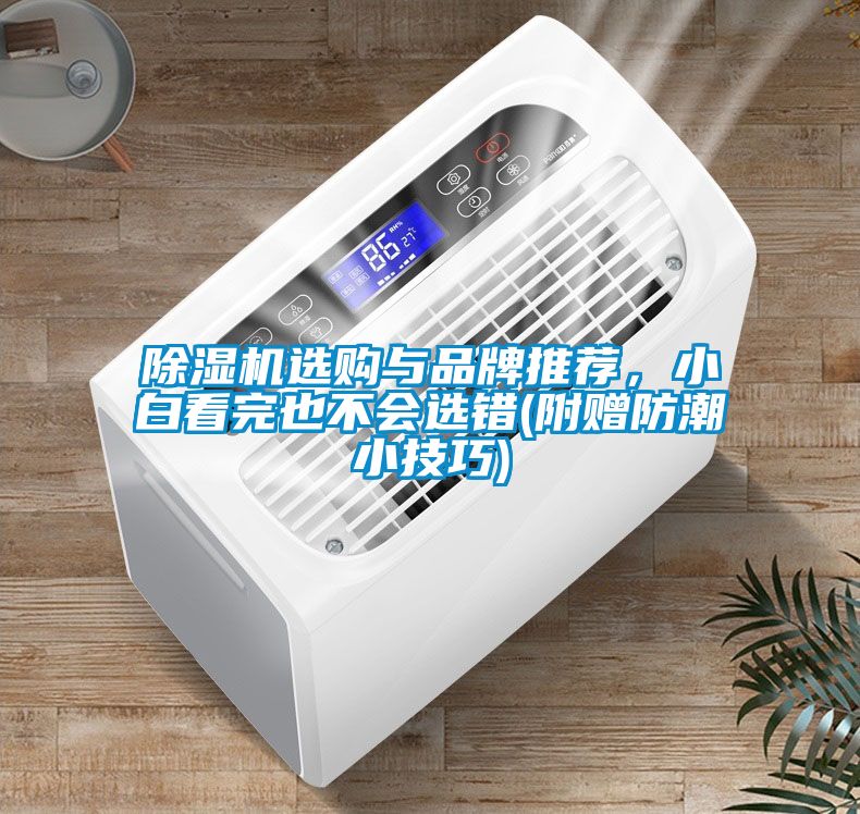 除濕機選購與品牌推薦，小白看完也不會選錯(附贈防潮小技巧)