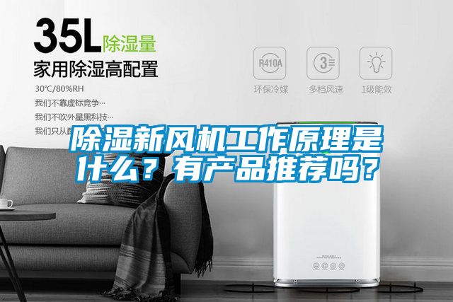 除濕新風機工作原理是什么？有產品推薦嗎？