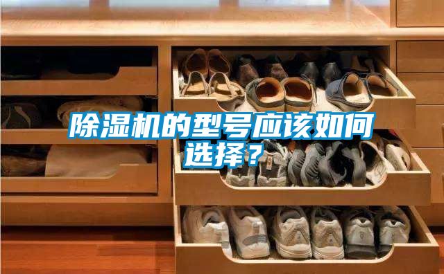 除濕機的型號應該如何選擇？
