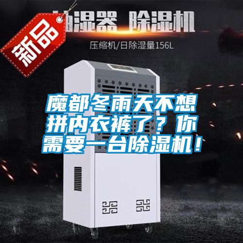 魔都冬雨天不想拼內衣褲了？你需要一臺除濕機！