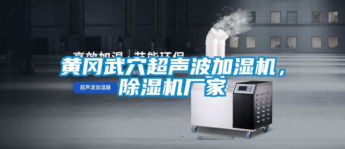 黃岡武穴超聲波加濕機，除濕機廠家