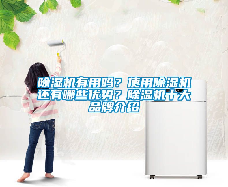 除濕機有用嗎？使用除濕機還有哪些優勢？除濕機十大品牌介紹