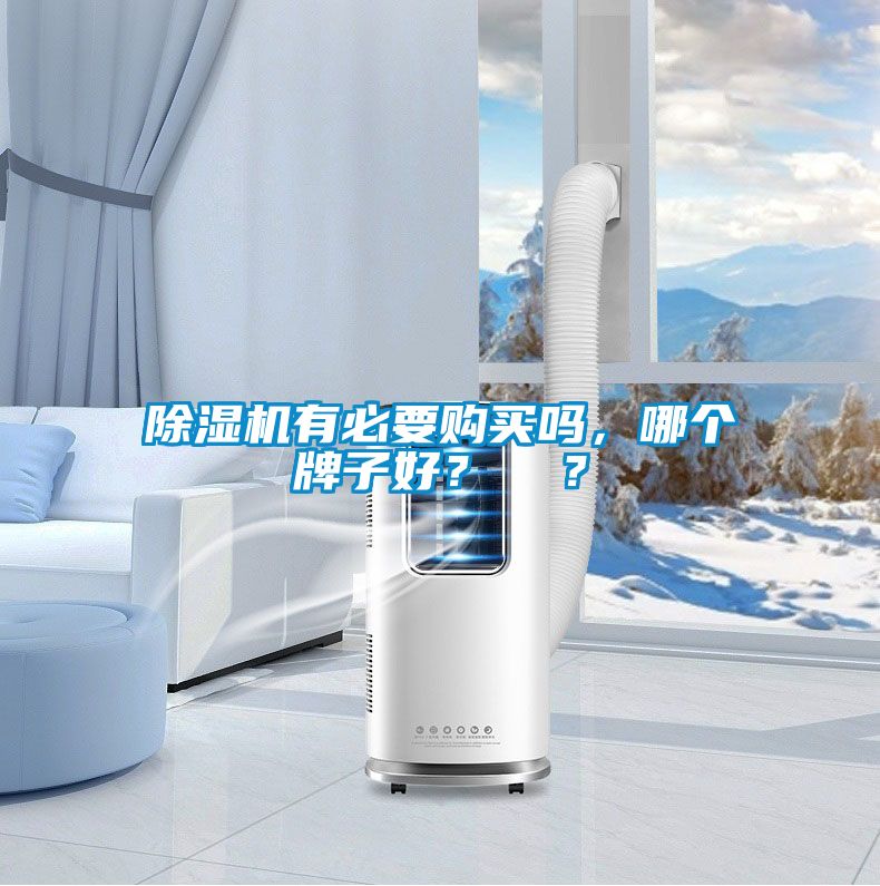 除濕機有必要購買嗎，哪個牌子好？  ？