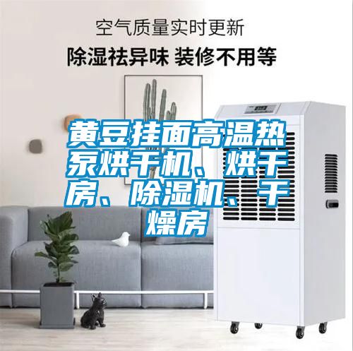 黃豆掛面高溫熱泵烘干機、烘干房、除濕機、干燥房