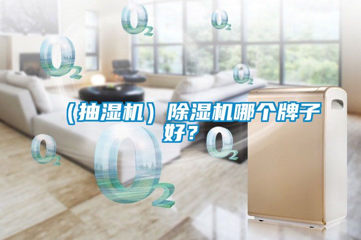 （抽濕機）除濕機哪個牌子好？