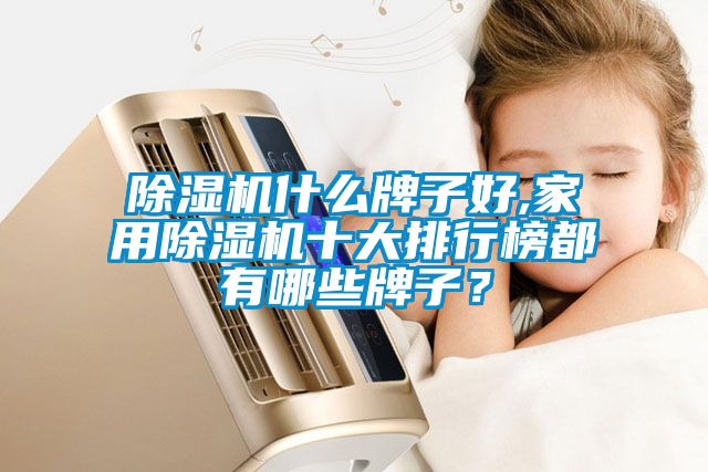 除濕機什么牌子好,家用除濕機十大排行榜都有哪些牌子？