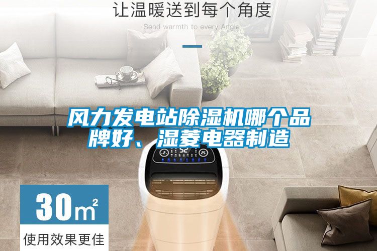 風力發電站除濕機哪個品牌好、濕菱電器制造