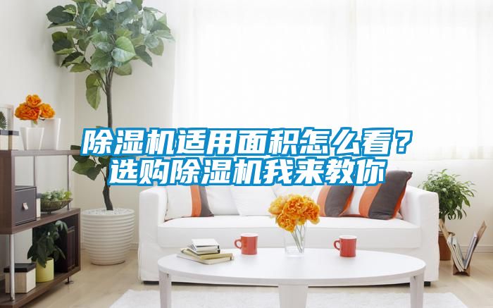 除濕機適用面積怎么看？選購除濕機我來教你