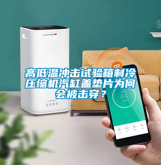 高低溫沖擊試驗箱制冷壓縮機汽缸蓋墊片為何會被擊穿？