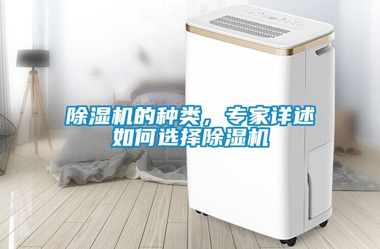 除濕機的種類，專家詳述如何選擇除濕機