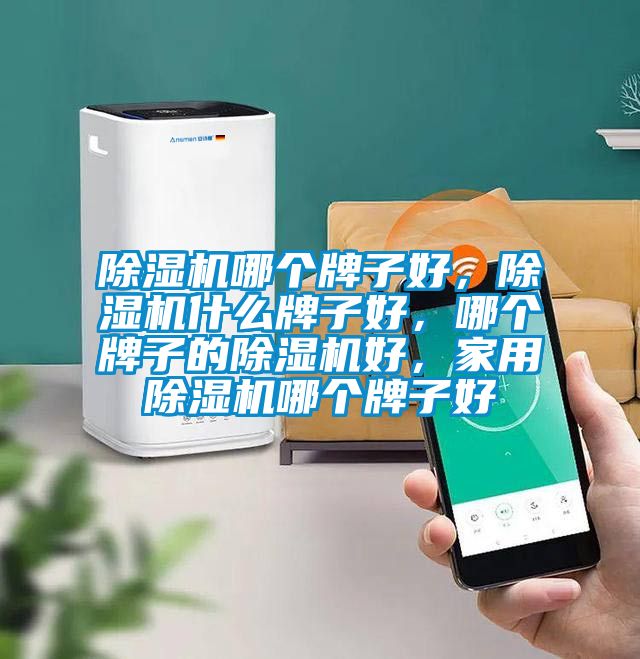 除濕機哪個牌子好，除濕機什么牌子好，哪個牌子的除濕機好，家用除濕機哪個牌子好