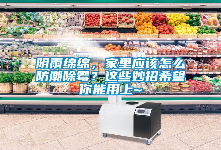 陰雨綿綿，家里應該怎么防潮除霉？這些妙招希望你能用上~