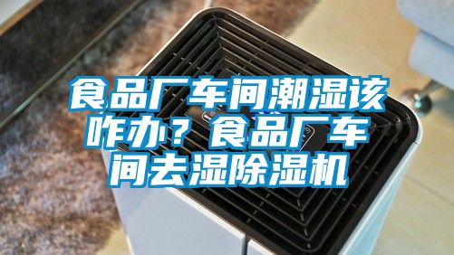 食品廠車間潮濕該咋辦？食品廠車間去濕除濕機