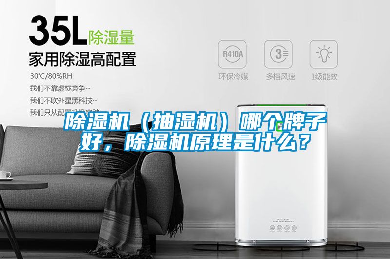 除濕機（抽濕機）哪個牌子好，除濕機原理是什么？