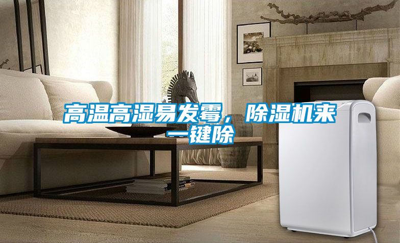 高溫高濕易發霉，除濕機來一鍵除