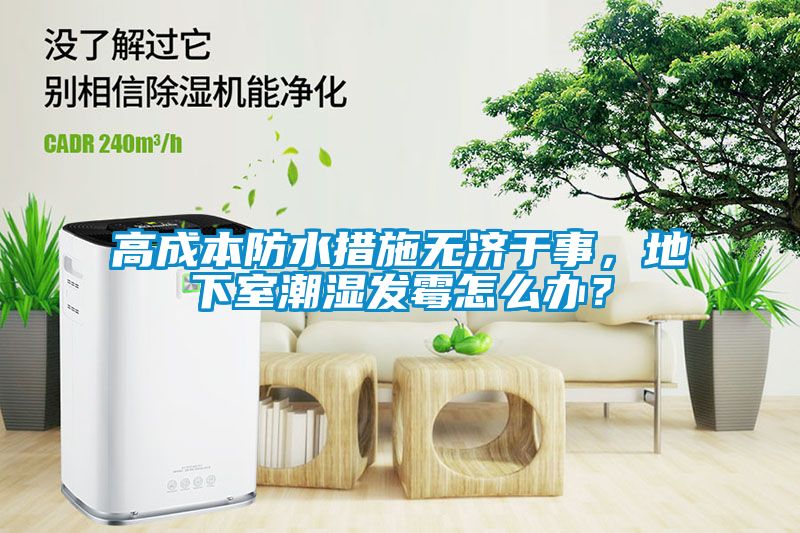 高成本防水措施無濟于事，地下室潮濕發霉怎么辦？
