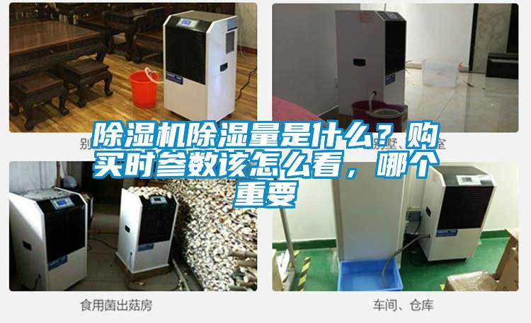 除濕機除濕量是什么？購買時參數該怎么看，哪個重要